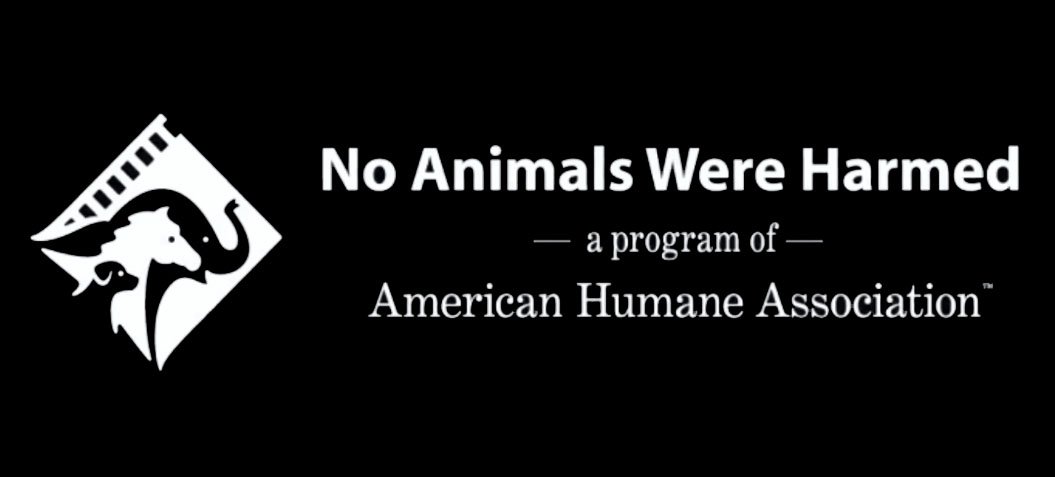 Animals in Film American Humane Association - InFocus Film School