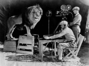 Animals in Film Leo the MGM Lion