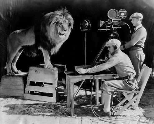 Animals in Film Leo the MGM Lion