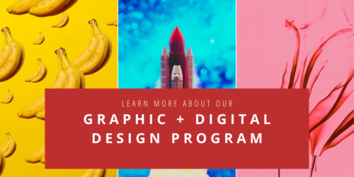 InFocus Film School Graphic and Digital Design Program | Learn More